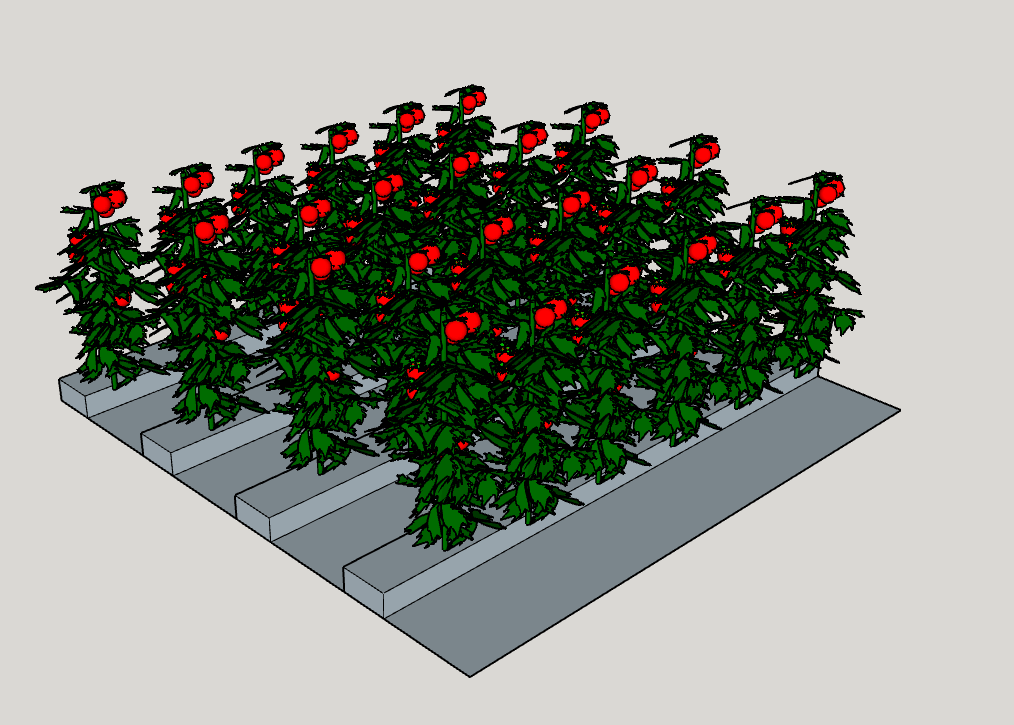 The 12 inch narrow row allows four planting rows. Each row can fit six to seven plants per row at 24" spacing. At most, the narrow row design will permit 28 plants.  One could possibly fit an extra row on the end with a path, but for argument sake let's assume there is a fence there and it is inaccessible.