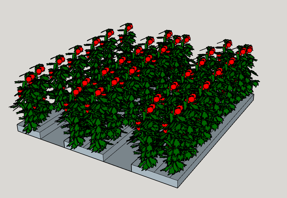 The 36 inch wide row has room for three planting rows, two at 48 inches and one at 24 inches. Each row can fit six to seven plants per row at 24" spacing. The wide row design will accommodate 35 total plants.  This means you get a 25 percent higher yield from the wide row.