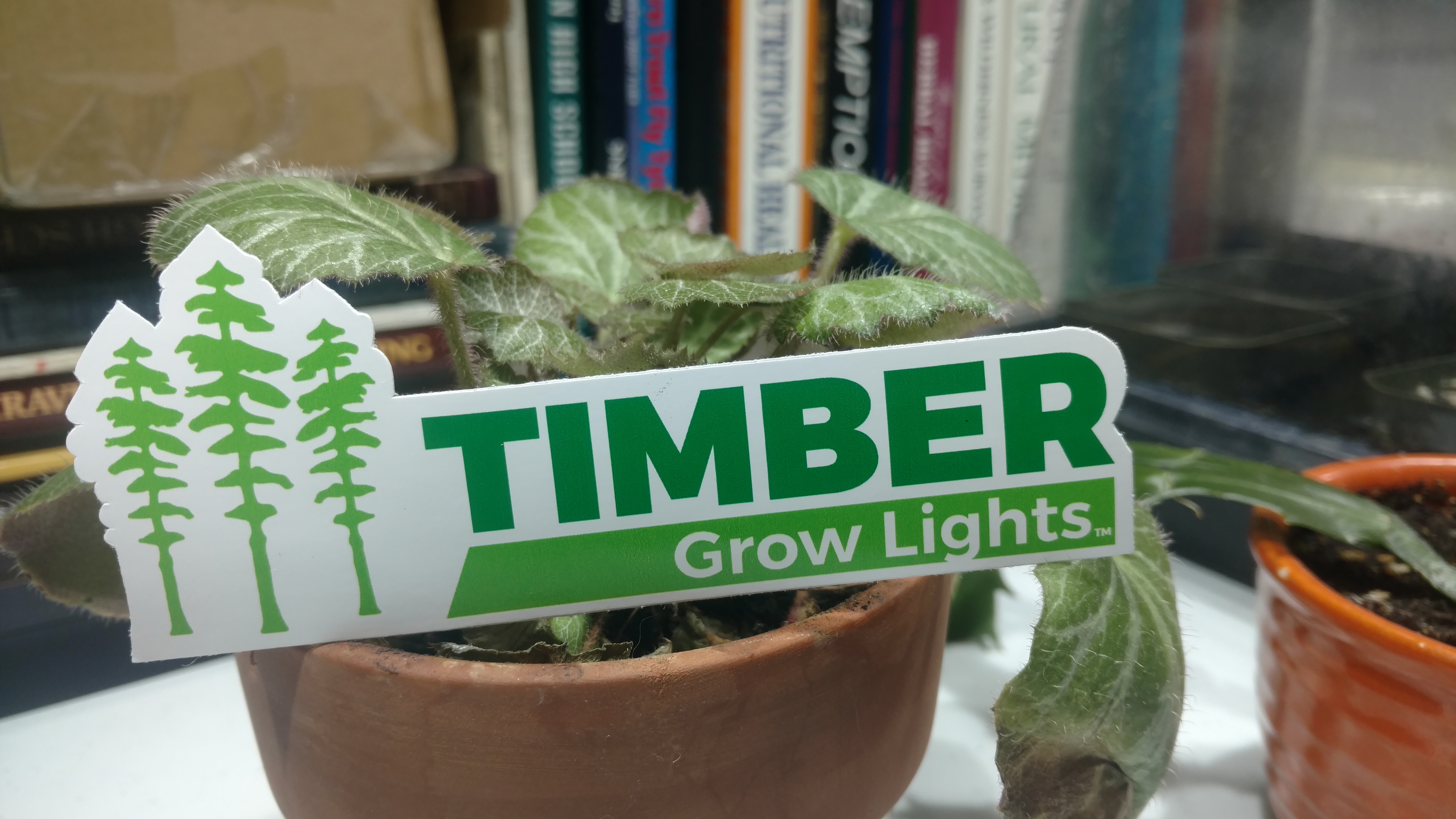 We ordered our DIY COB LED as a kit from a small company called Timber Grow Lights.