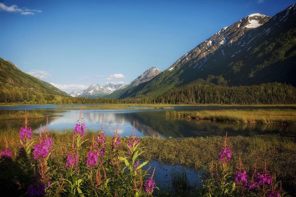 alaska-397747_960_720