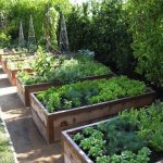 Tips For New Cold Climate Gardeners