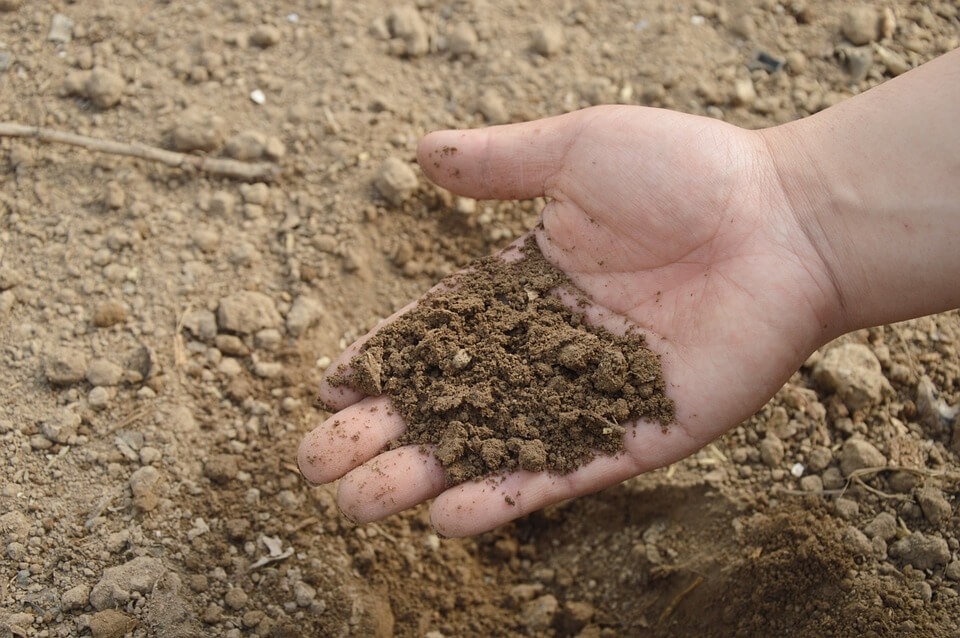 Freshly tilled soil is a great for planting!