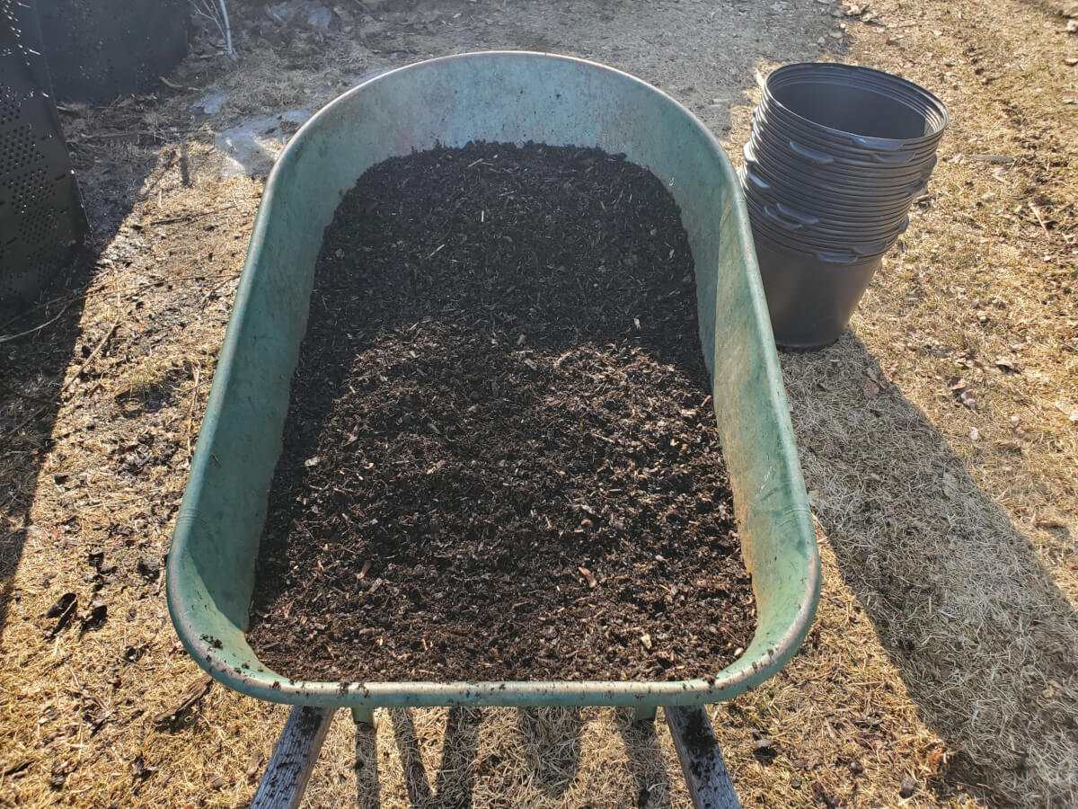 Wheelbarrow with harvested wood chip compost