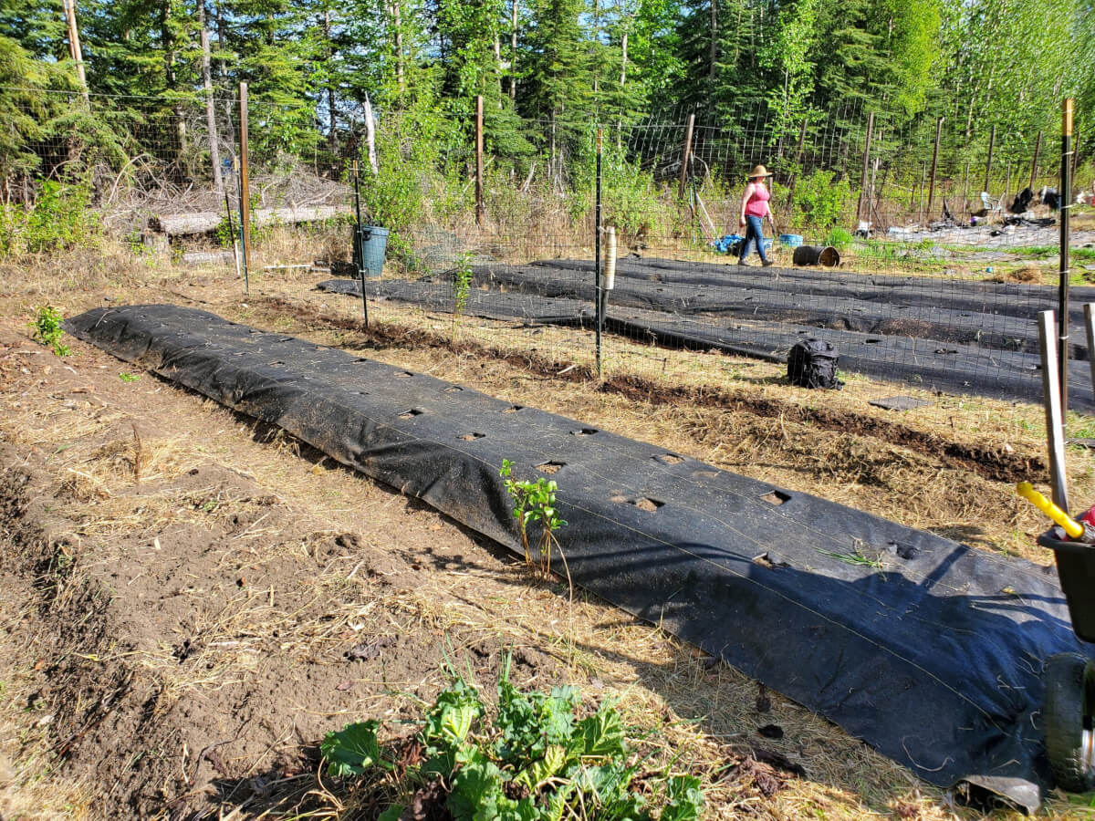 Fairbanks Community Garden Beds Prepped 2
