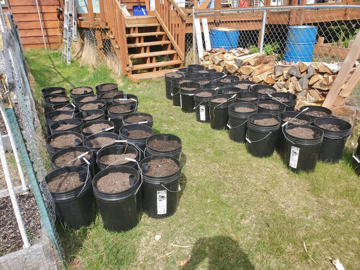 Grobucket Containers Ready For Deployment