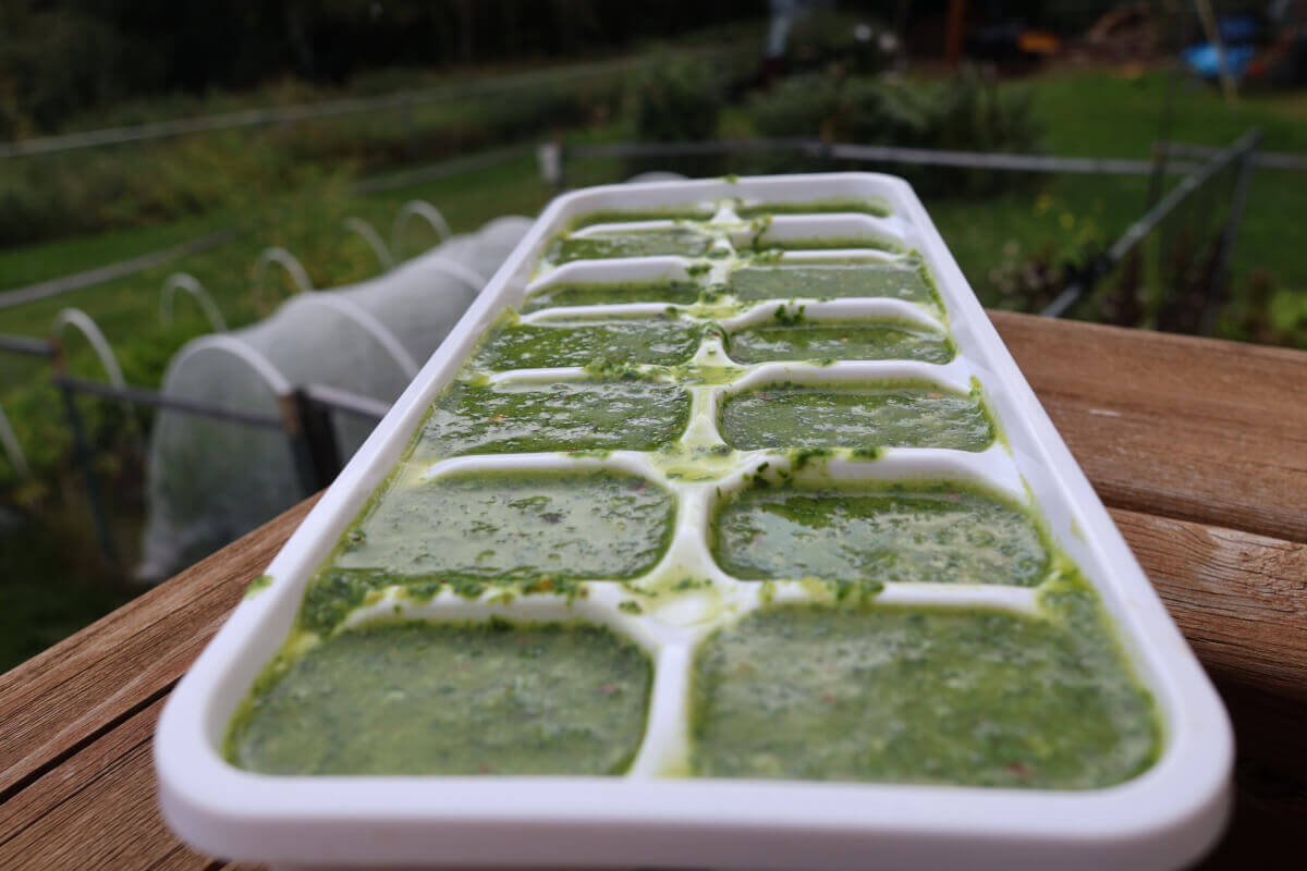 Basil Oil In Ice Cube Trays