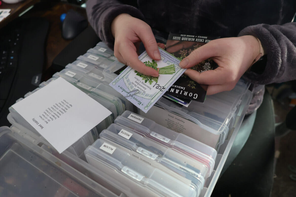 Sorting Through Seeds For Seed Planning