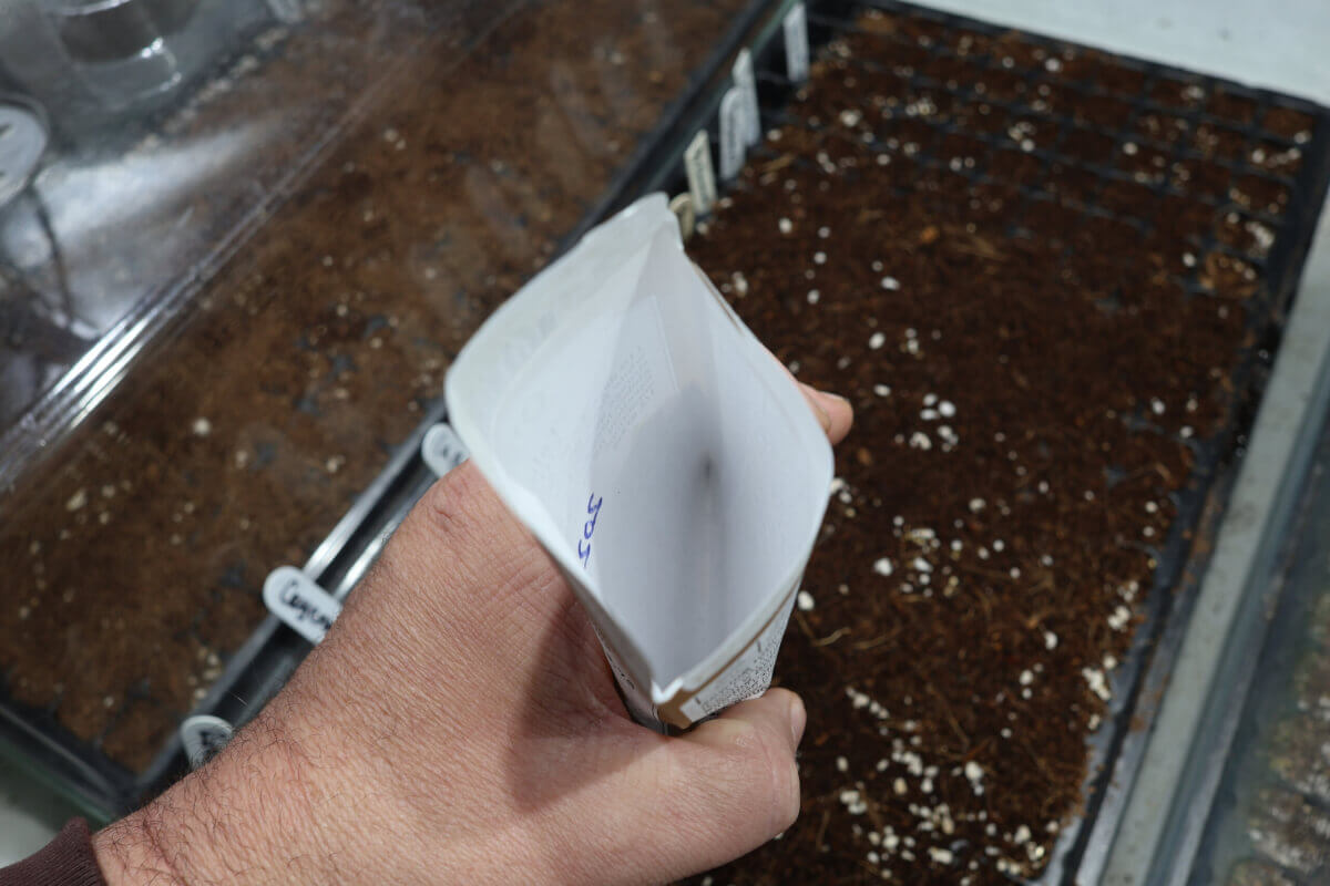 Empty onion seed packet